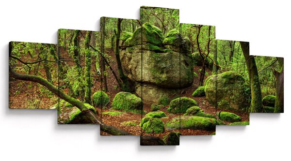 Obraz kouzelného lesa (210x100 cm)