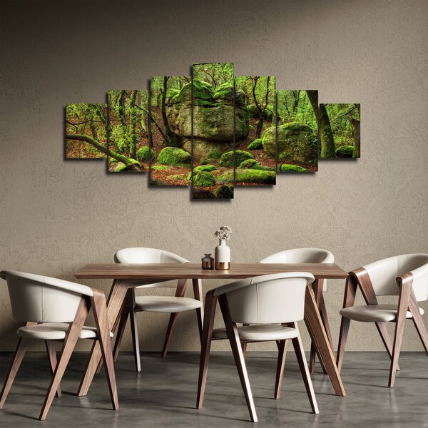 Obraz kouzelného lesa (210x100 cm)