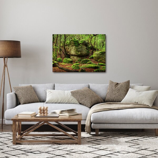 Obraz kouzelného lesa (70x50 cm)