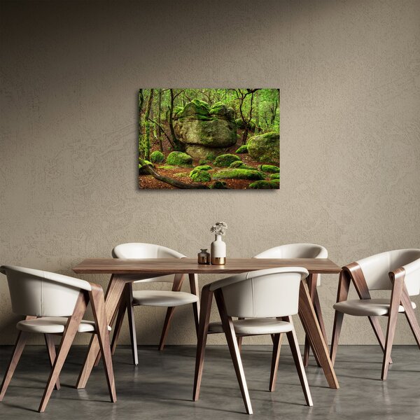 Obraz kouzelného lesa (70x50 cm)