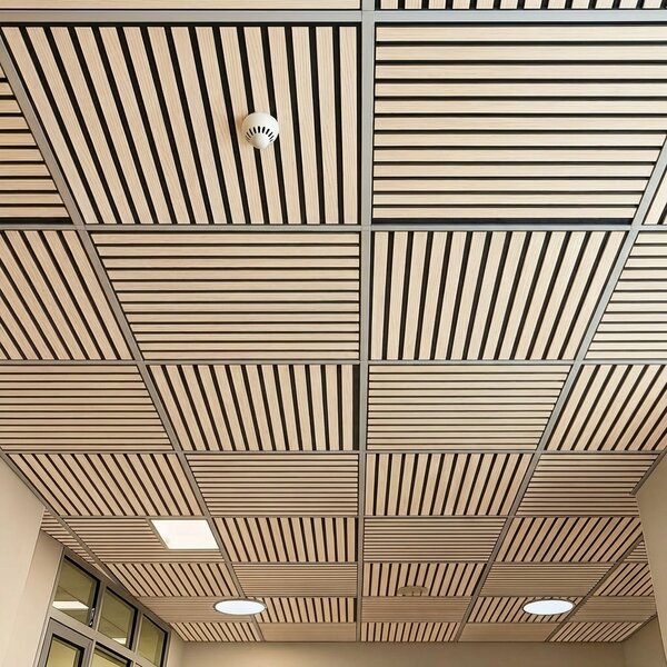 Dřevěný akustický panel pro stropní rastrovou konstrukci, 595 x 595 mm, B2BP002, balení 4 ks, bříza