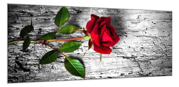 Obraz skleněný květ červená růže na dřevě - 40 x 60 cm