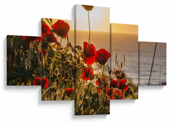 Obraz západu slunce s vlčími máky (125x70 cm)