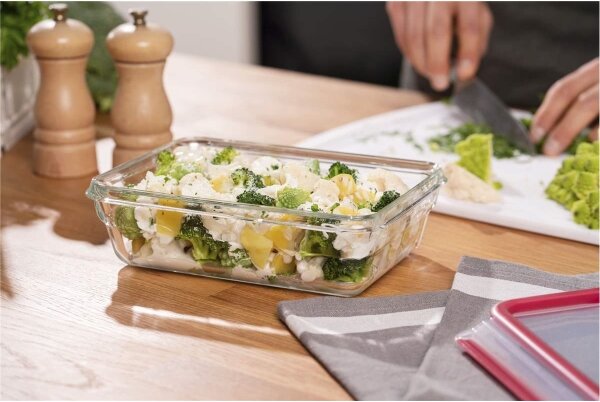 Tefal - Dóza na potraviny 1,3 l MSEAL GLASS červená/sklo
