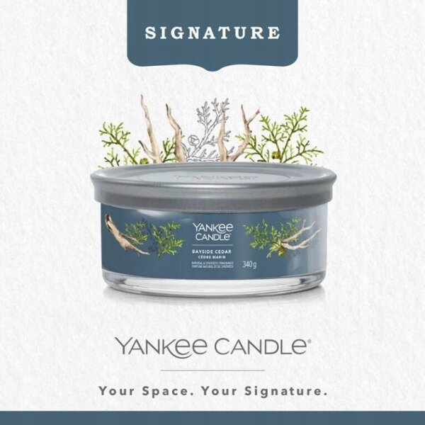 Sójová vonná svíčka BAYSIDE CEDAR Yankee Candle 1 ks
