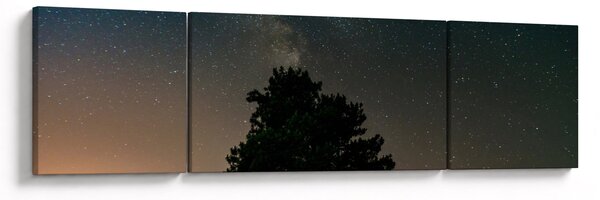 Obraz noční oblohy se stromy (170x50 cm)