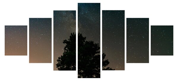 Obraz noční oblohy se stromy (210x100 cm)