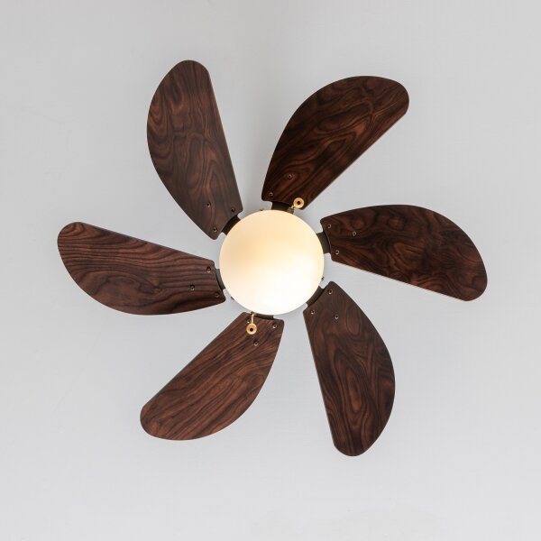ZEVENTI - Stropní ventilátor FAMARA 1xE14/60W/230V