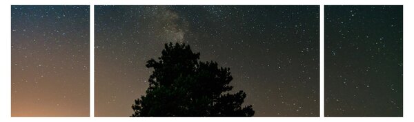 Obraz noční oblohy se stromy (170x50 cm)