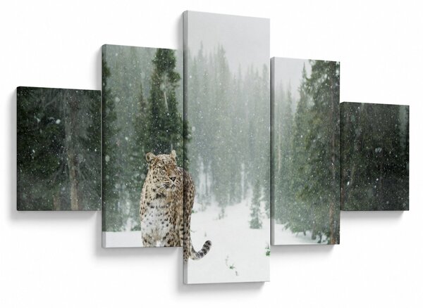 Obraz leoparda ve sněhu (125x70 cm)