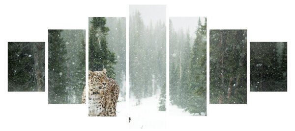 Obraz leoparda ve sněhu (210x100 cm)