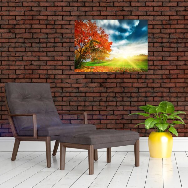 Skleněný obraz krajiny zalité slunečním svitem (70x50 cm)