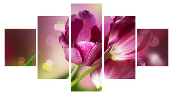 Obraz růžových tulipánů (125x70 cm)