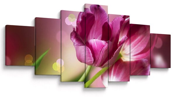 Obraz růžových tulipánů (210x100 cm)