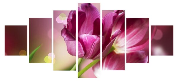 Obraz růžových tulipánů (210x100 cm)