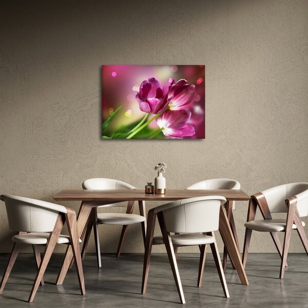 Obraz růžových tulipánů (70x50 cm)