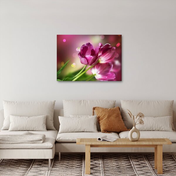Obraz růžových tulipánů (70x50 cm)