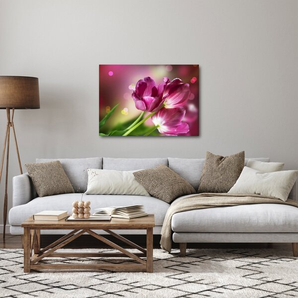 Obraz růžových tulipánů (70x50 cm)