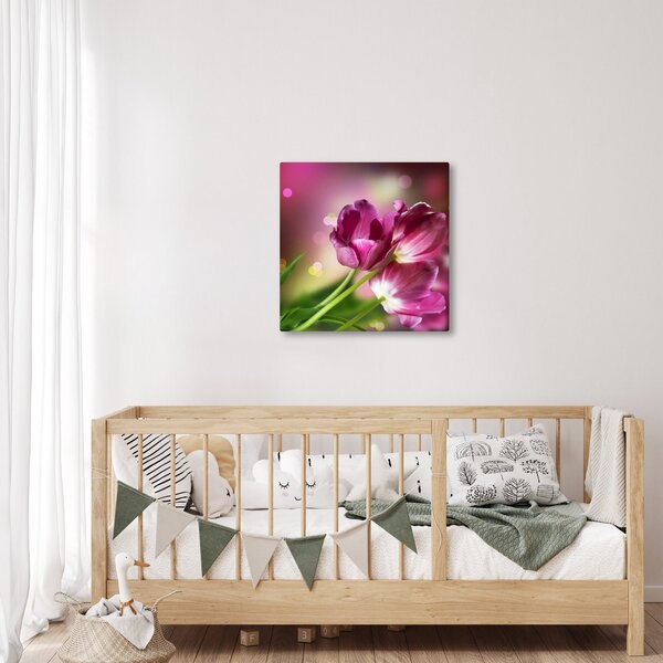 Obraz růžových tulipánů (30x30 cm)