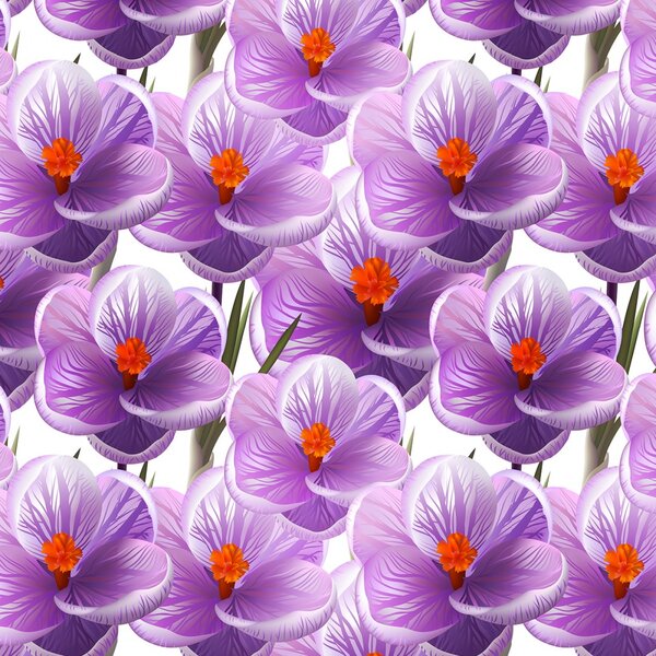 BF Crocus Duo 180x200 cm