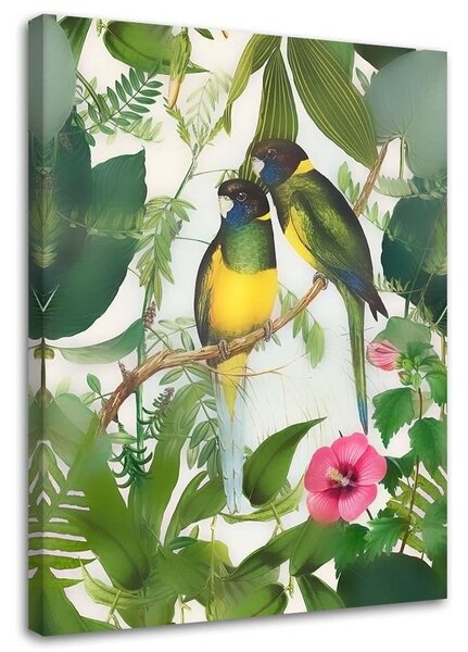 Obraz na plátně Ptáci v džungli 2 - Andrea Haase Rozměry: 40 x 60 cm