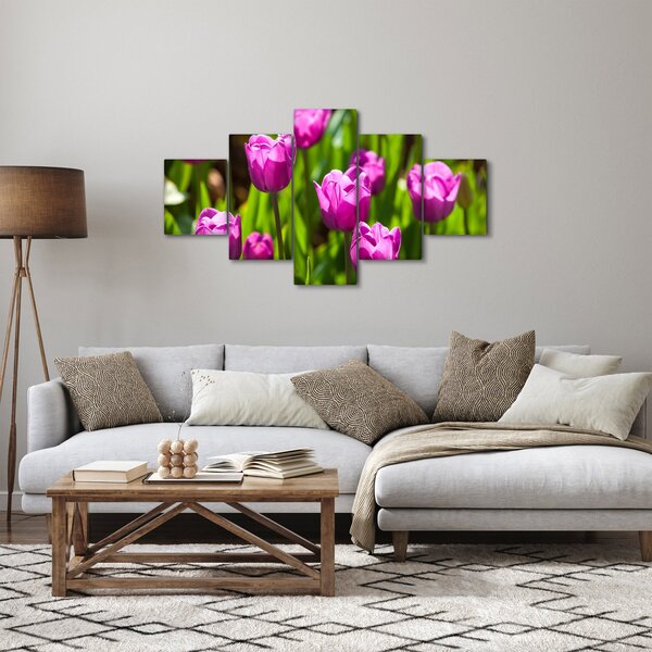Obraz tulipánů na louce (125x70 cm)