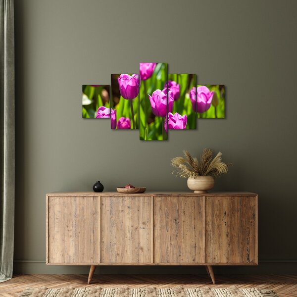Obraz tulipánů na louce (125x70 cm)