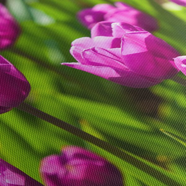 Obraz tulipánů na louce (170x50 cm)
