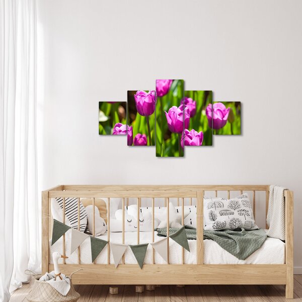 Obraz tulipánů na louce (125x70 cm)