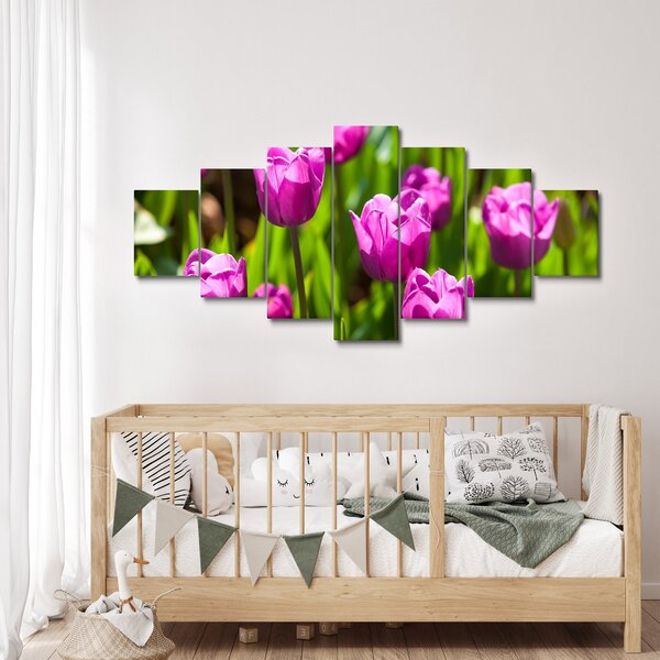 Obraz tulipánů na louce (210x100 cm)