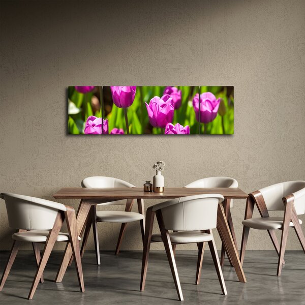 Obraz tulipánů na louce (170x50 cm)