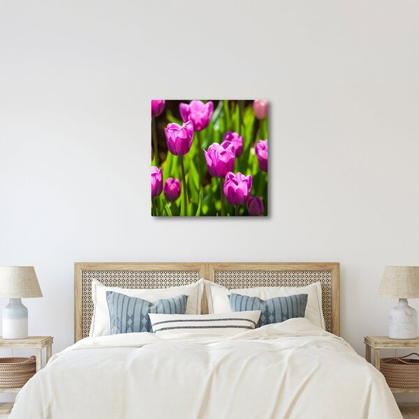 Obraz tulipánů na louce (30x30 cm)
