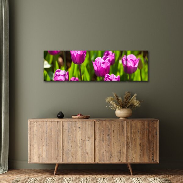 Obraz tulipánů na louce (170x50 cm)