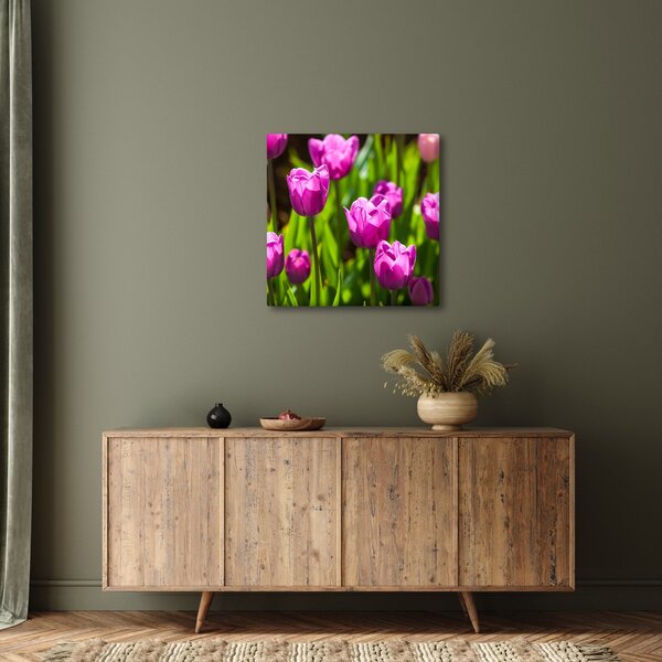 Obraz tulipánů na louce (30x30 cm)