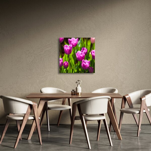Obraz tulipánů na louce (30x30 cm)