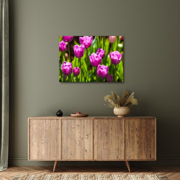Obraz tulipánů na louce (70x50 cm)