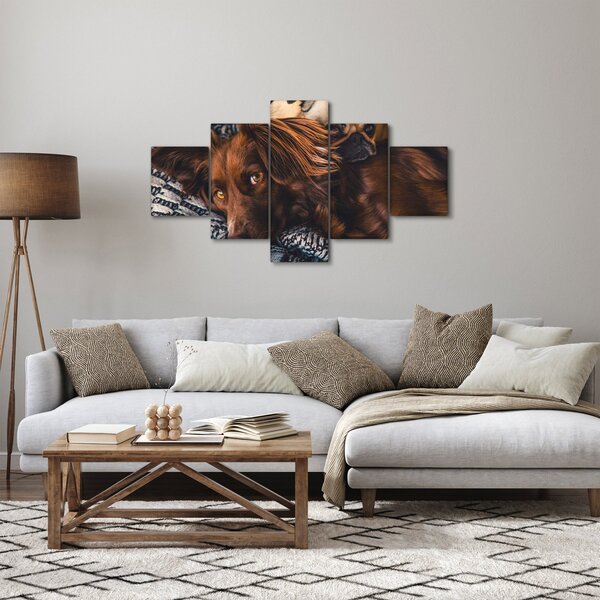 Obraz ležících psů (125x70 cm)