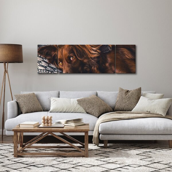 Obraz ležících psů (170x50 cm)