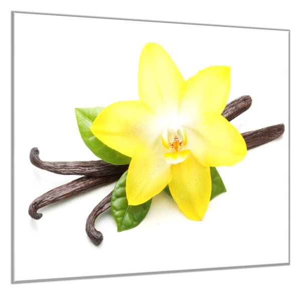 Obraz skleněný čtvercový květ žlutá orchidej a vanilka - 50 x 50 cm