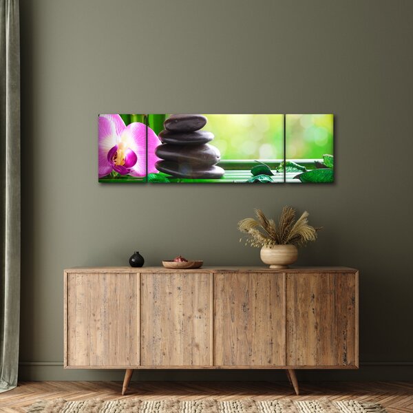 Obraz masážních kamenů a orchidee na vodě (170x50 cm)