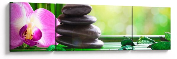 Obraz masážních kamenů a orchidee na vodě (170x50 cm)