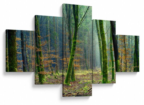 Obraz lesa (125x70 cm)