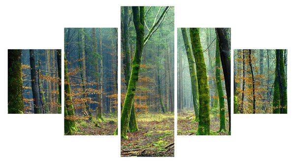 Obraz lesa (125x70 cm)