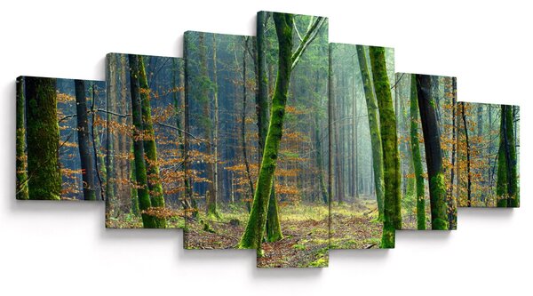 Obraz lesa (210x100 cm)