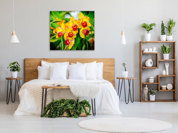 Obraz skleněný čtvercový žlutý květ orchideje v zahradě - 40 x 40 cm