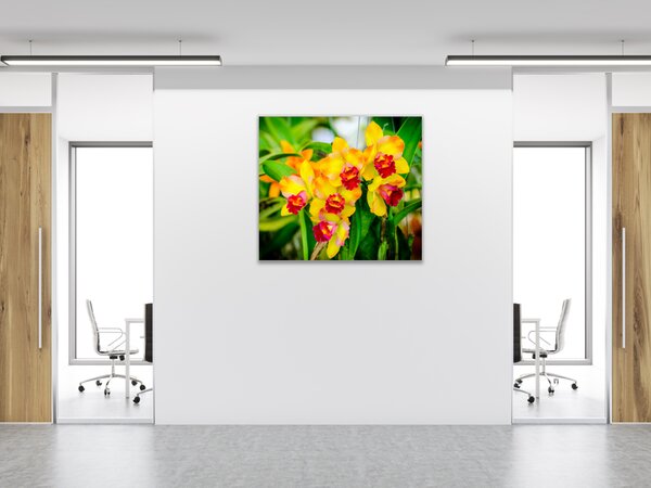 Obraz skleněný čtvercový žlutý květ orchideje v zahradě - 40 x 40 cm
