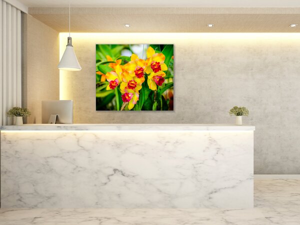 Obraz skleněný čtvercový žlutý květ orchideje v zahradě - 40 x 40 cm