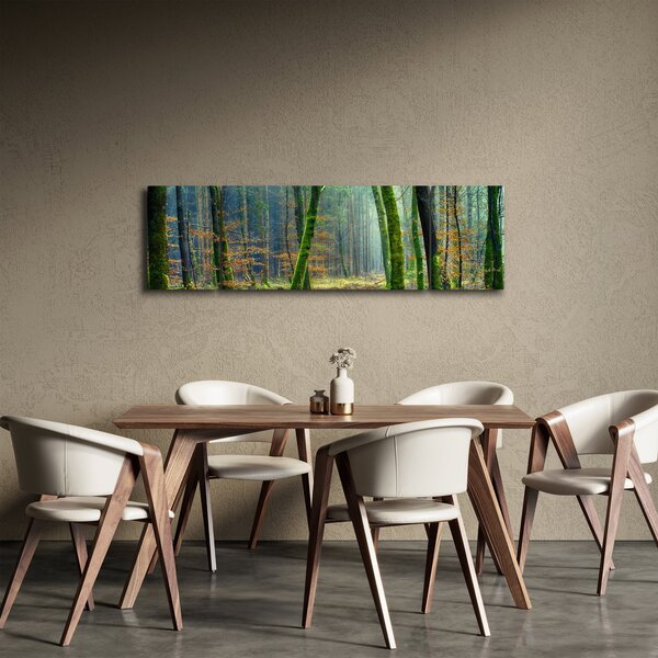 Obraz lesa (170x50 cm)