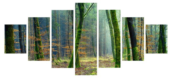 Obraz lesa (210x100 cm)