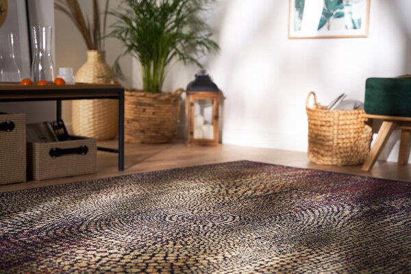 Kusový koberec Agnella Standard Focus Granat Rozměr: 60x120 cm